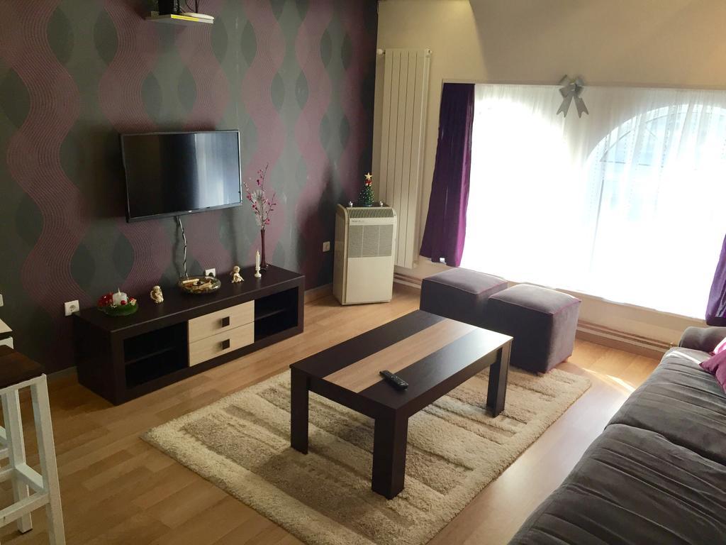 Kona Apartment Belgrade Room photo